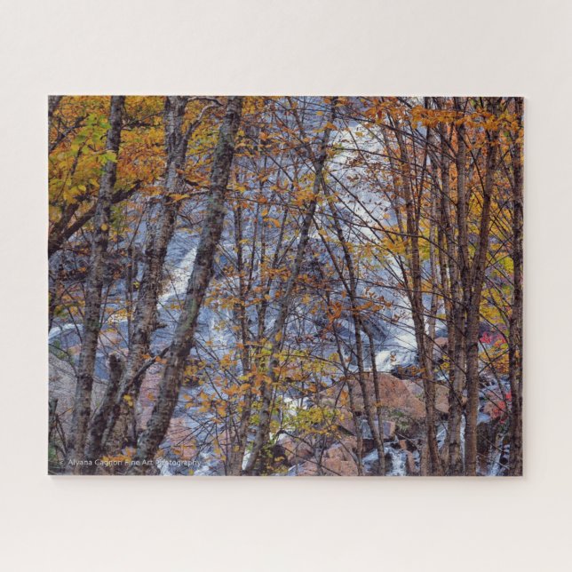 Puzzle d'automne (Horizontal)