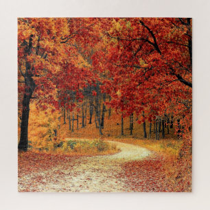 Puzzle d'automne de Forest Road