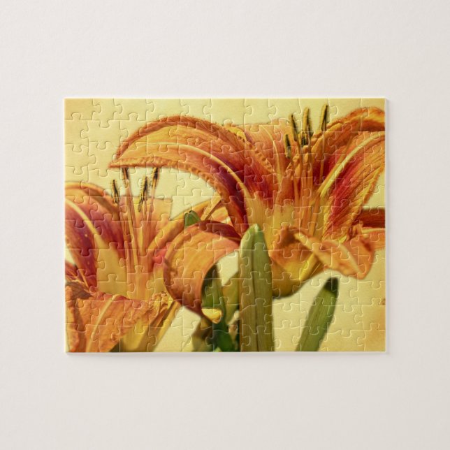 Puzzle Daylilies - Hemerocallis (Horizontal)