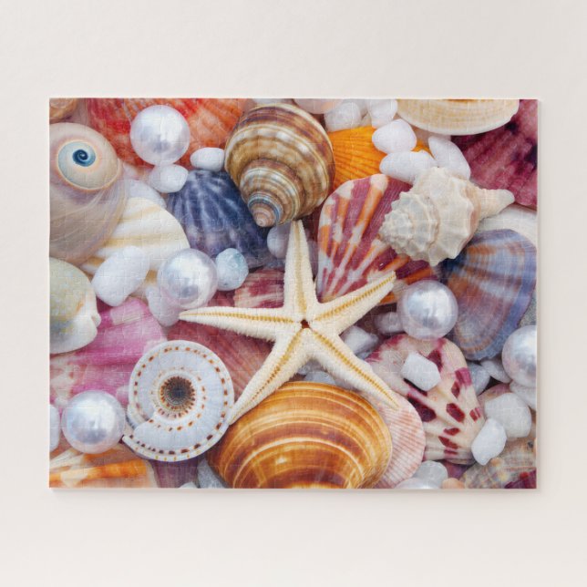 Puzzle de 520 coquillages (Horizontal)
