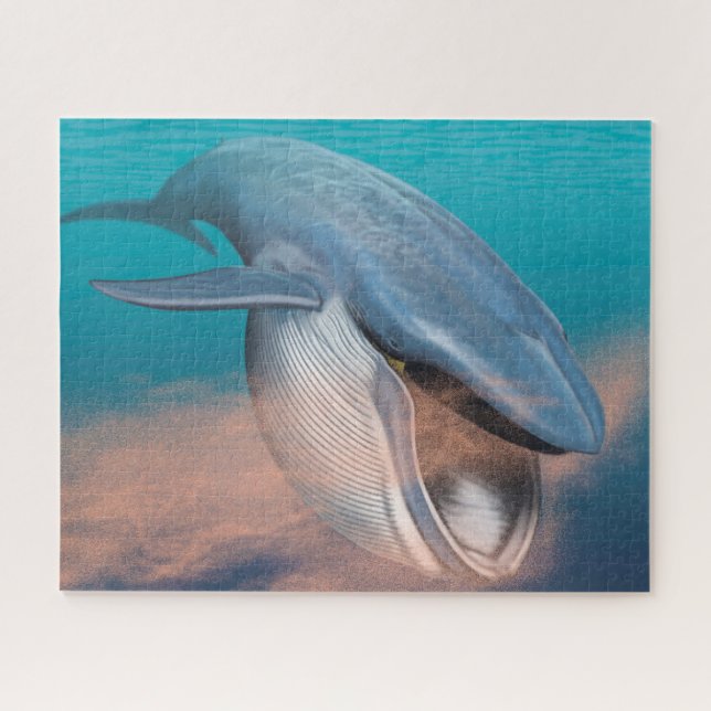Puzzle de Baleine à Fanons (Horizontal)