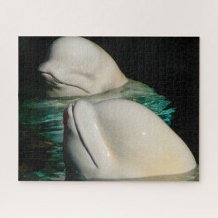 Puzzle de baleines belugas