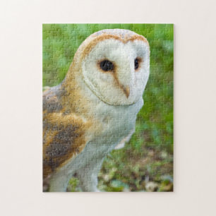 Puzzle de Barne Owl Jigsaw