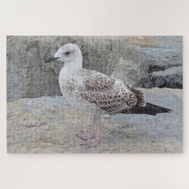 Puzzle de bébé goéland (Horizontal)