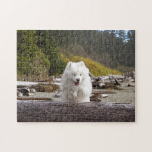 Puzzle de billes de coco