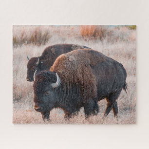 Puzzle de Bison Jigsaw