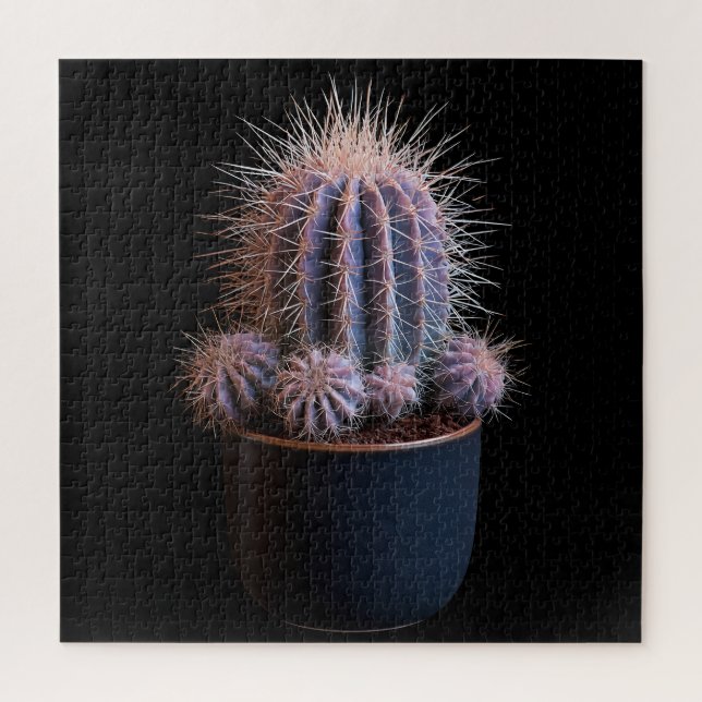 Puzzle de Cactus (Vertical)