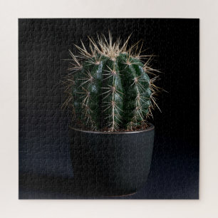 Puzzle de Cactus