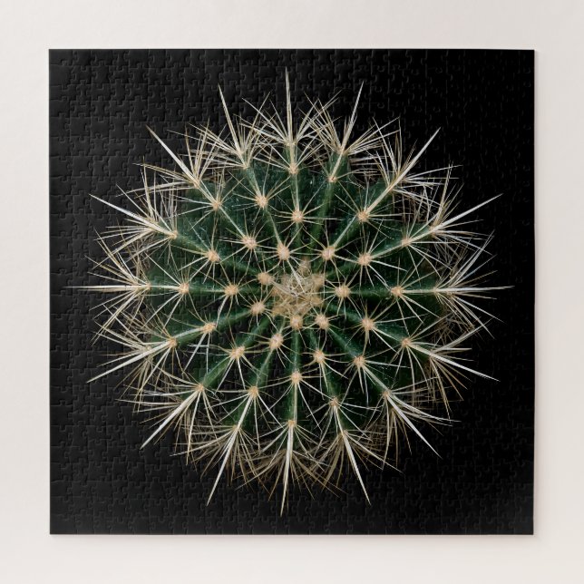 Puzzle de Cactus (Vertical)