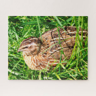 Puzzle de Cailles Sauvages