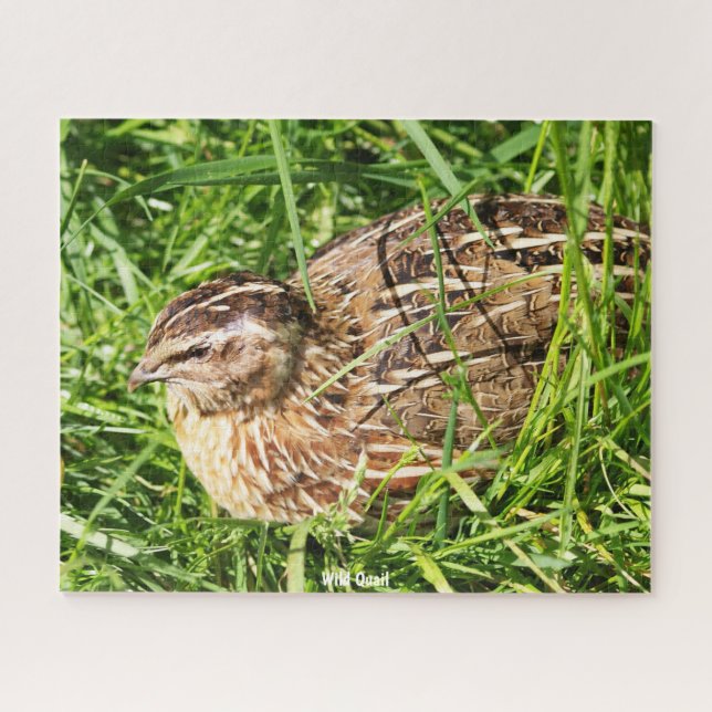 Puzzle de Cailles Sauvages (Horizontal)