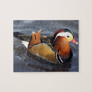 Puzzle de canard mandarin