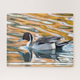 Puzzle de Canard Pilet
