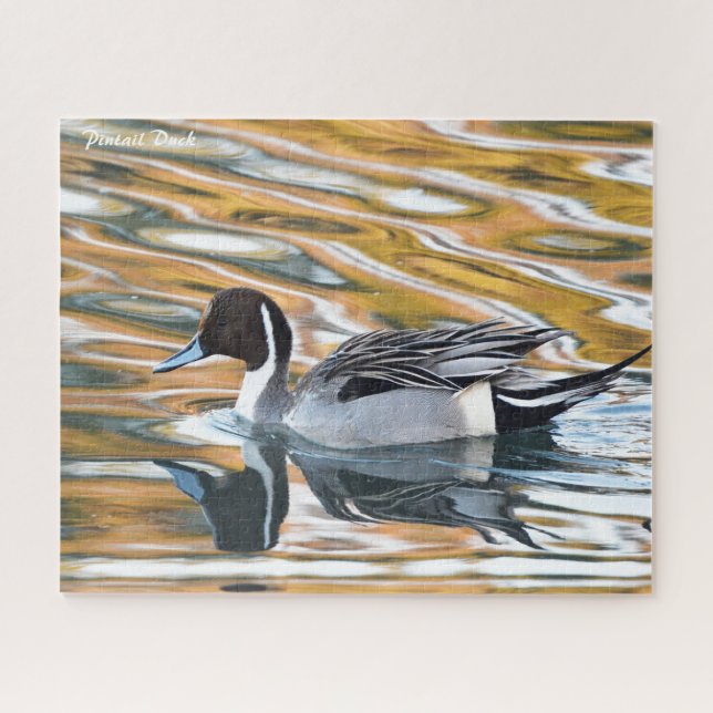 Puzzle de Canard Pilet (Horizontal)