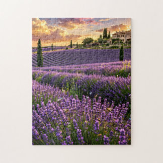 Puzzle de champ de lavande