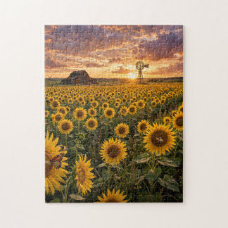 Puzzle de champ de tournesols