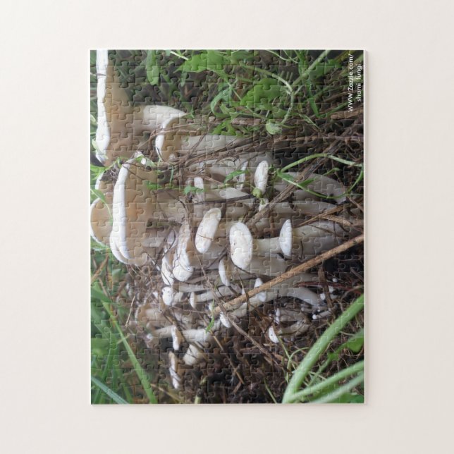 Puzzle de champignon (Vertical)
