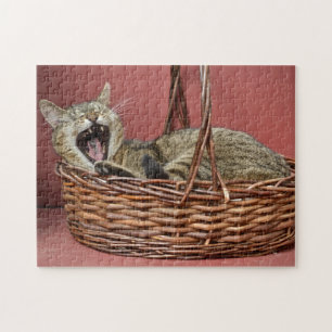 Puzzle de chat