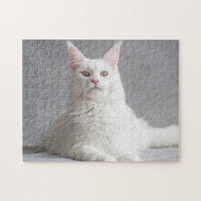 Puzzle de chat blanc (Horizontal)
