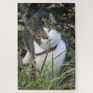 Puzzle de chat blanc gris mou