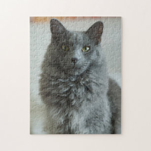 Puzzle de chat gris