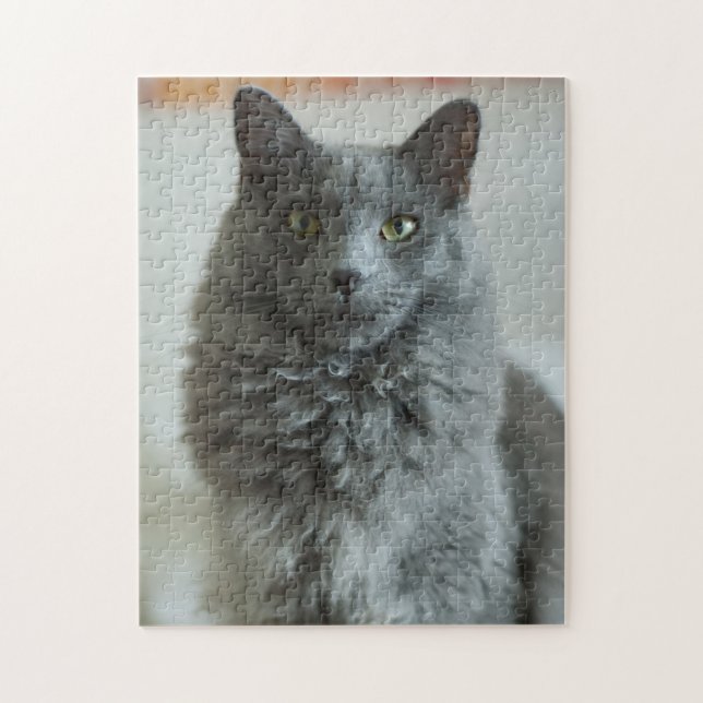 Puzzle de chat gris (Vertical)