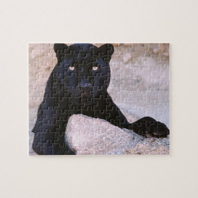 Puzzle de chat noir (Horizontal)
