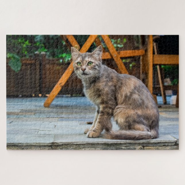 puzzle de chat patio (Horizontal)
