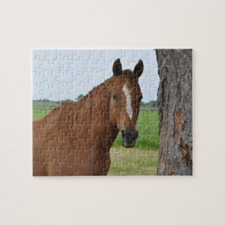 Puzzle de cheval