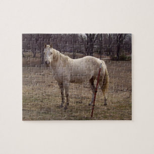 Puzzle de cheval blanc