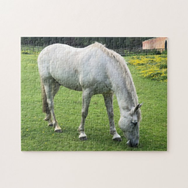 Puzzle de cheval - Un cheval blanc paissant dans u (Horizontal)