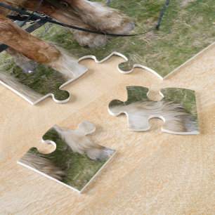 Puzzle de chevaux de Shire