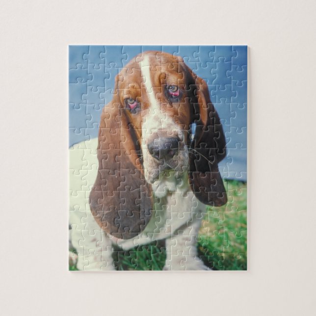 Puzzle de chien de Basset Hound (Vertical)