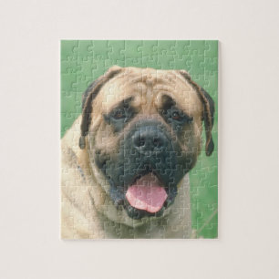 Puzzle de chien de Bullmastiff de faon