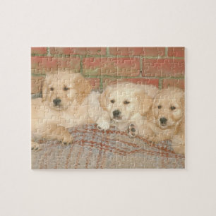 Puzzle de chien de chiots de golden retriever
