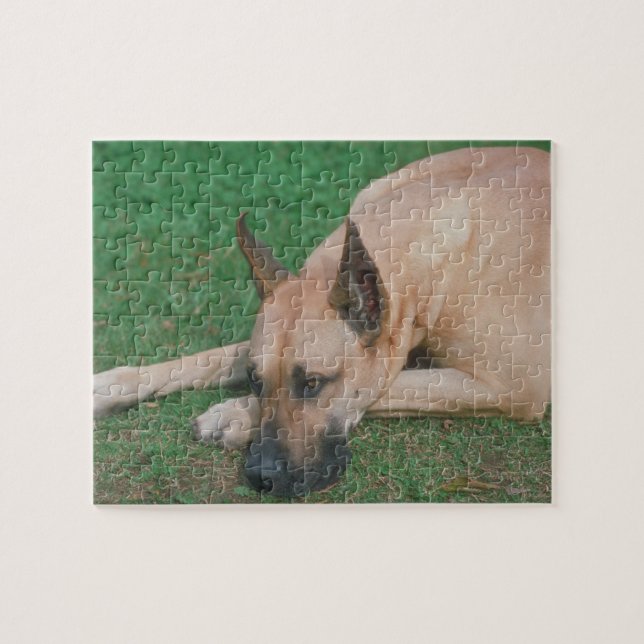Puzzle de chien de great dane de faon (Horizontal)