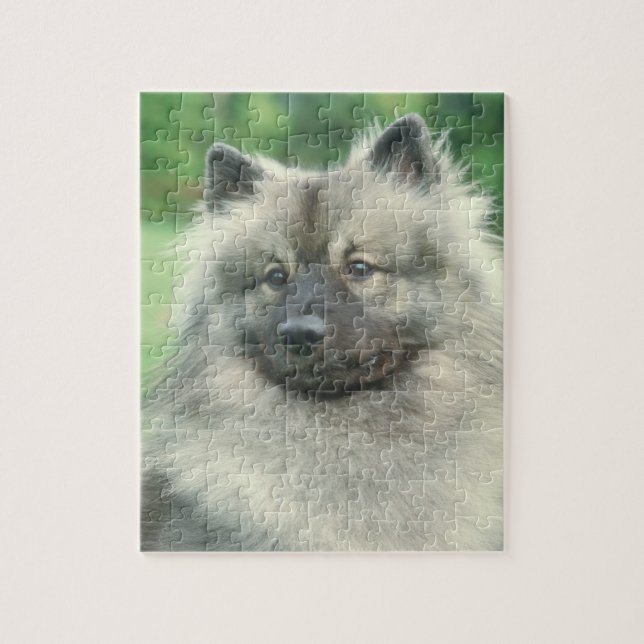 Puzzle de chien de Keeshond (Vertical)