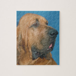 Puzzle de chien de limier