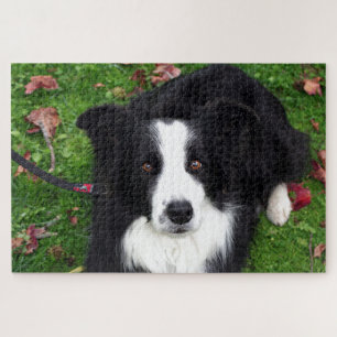 Puzzle de chien de mouton noir et blanc