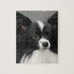 Puzzle de chien de Papillon