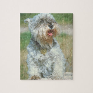 Puzzle de chien de Schnauzer