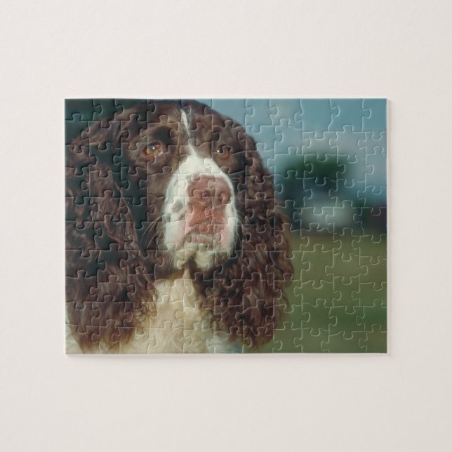 Puzzle de chien de springer spaniel (Horizontal)