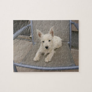 Puzzle de chien de Terrier blanc de montagne