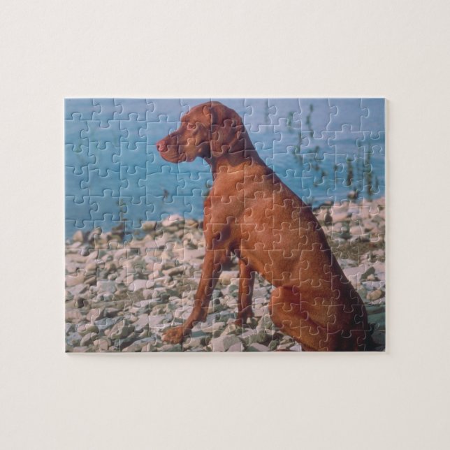 Puzzle de chien de Vizsla (Horizontal)