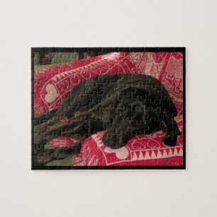 Puzzle de chien endormi