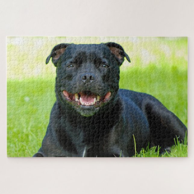 Puzzle de chien Staffordshire Bull Terrier (Horizontal)