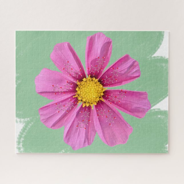 Puzzle de chimie des fleurs de Cosmos rose (Horizontal)