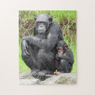 Puzzle de chimpanzé