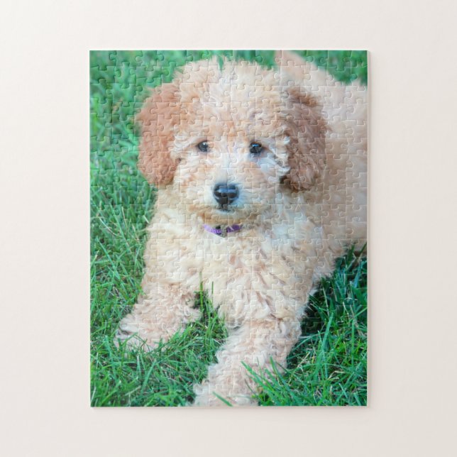 Puzzle de chiot de Goldendoodle (Vertical)