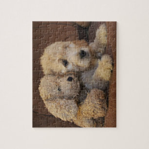 Puzzle de chiot de Goldendoodle